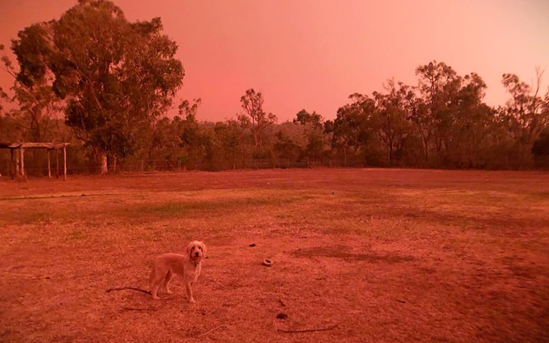 red sky, donate bushfire australia