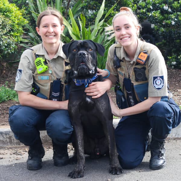 RSPCA Inspectorate team members