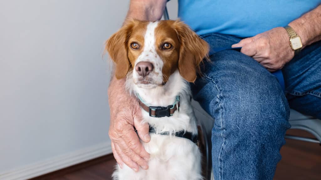 RSPCA NSW Aged Care Program