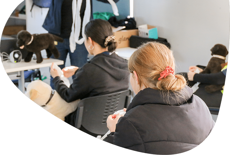 RSPCA Training Courses