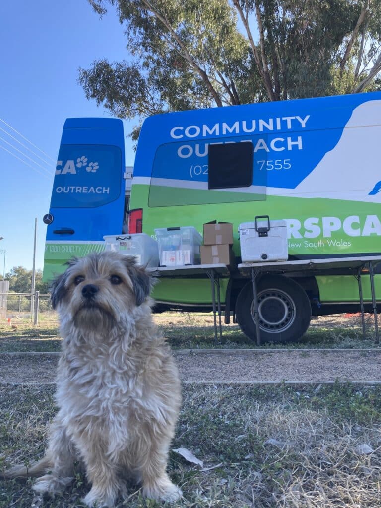 Animal Welfare Footprint