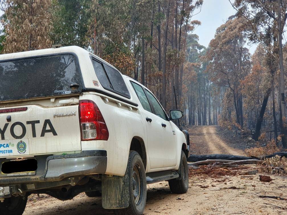 Emergency Preparedness