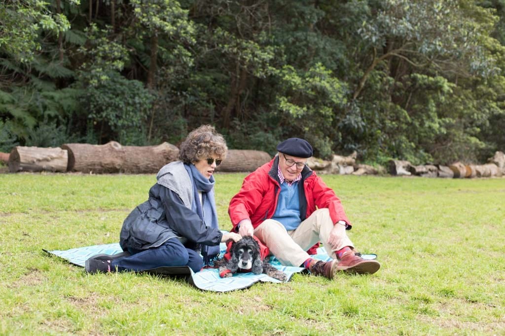 senior dogs for seniors program