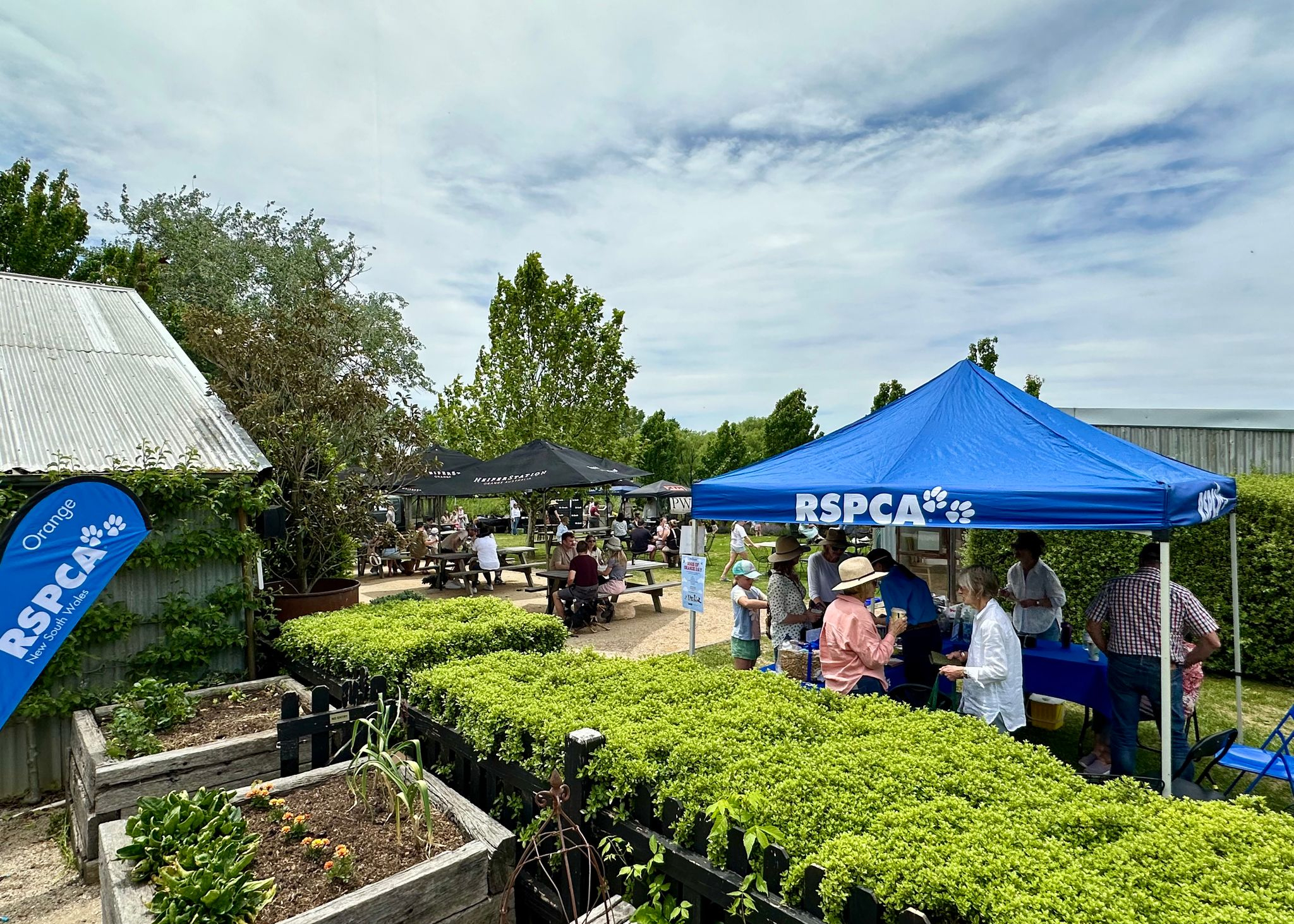 Orange-supporter-group
