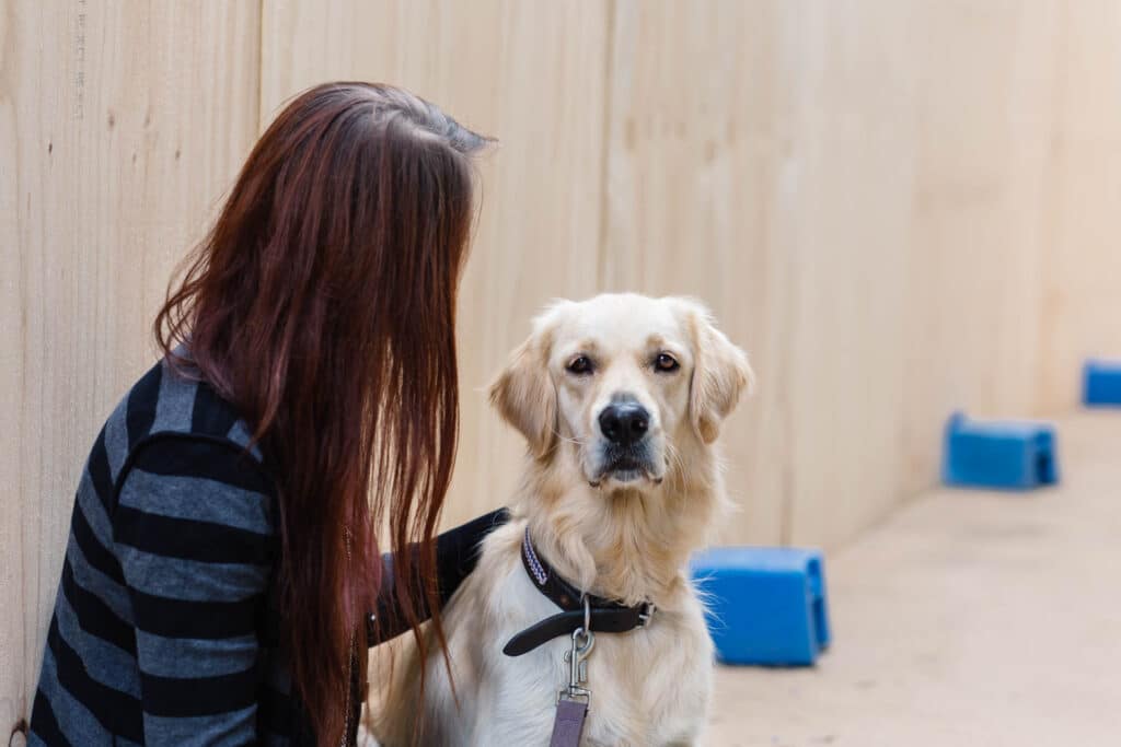 RSPCA Homelessness Program