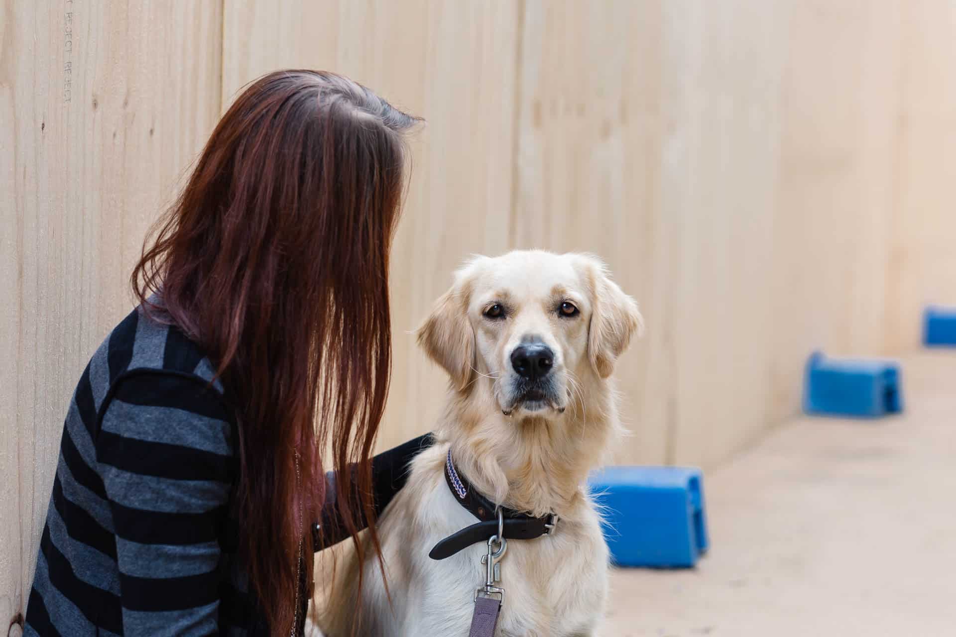 RSPCA Homelessness Program