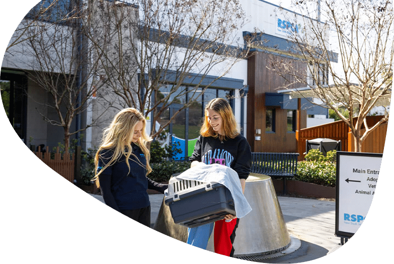 Sydney RSPCA Adoption Centre, Yagoona NSW