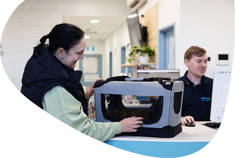 Sydney RSPCA Veterinary Hospital