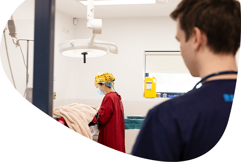 Hunter Veterinary Hospital