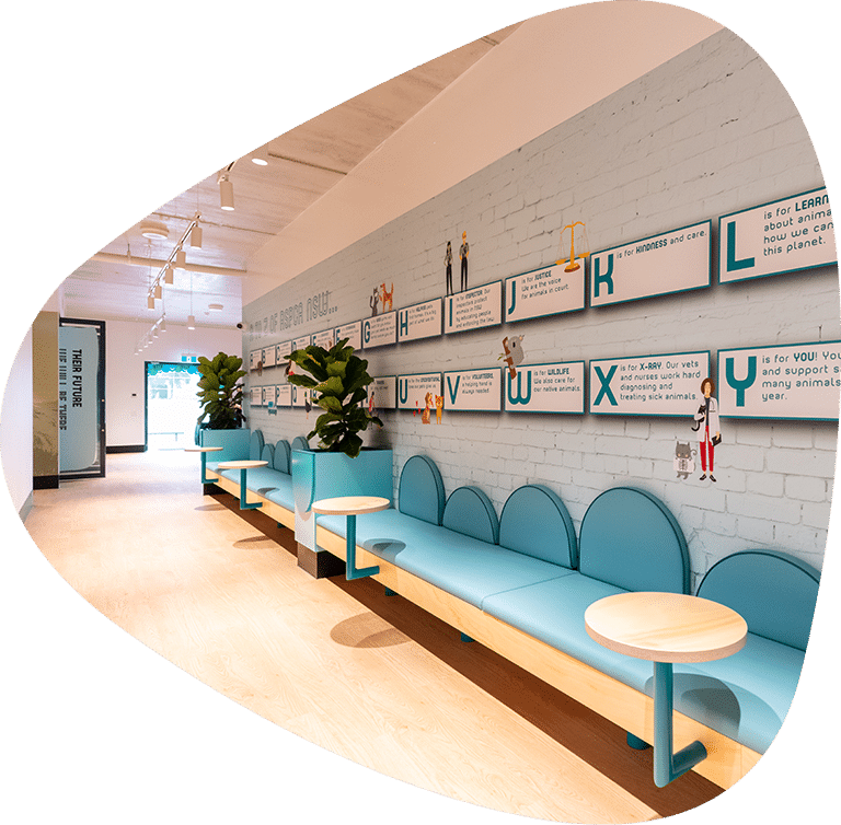 Yagoona Education Centre RSPCA