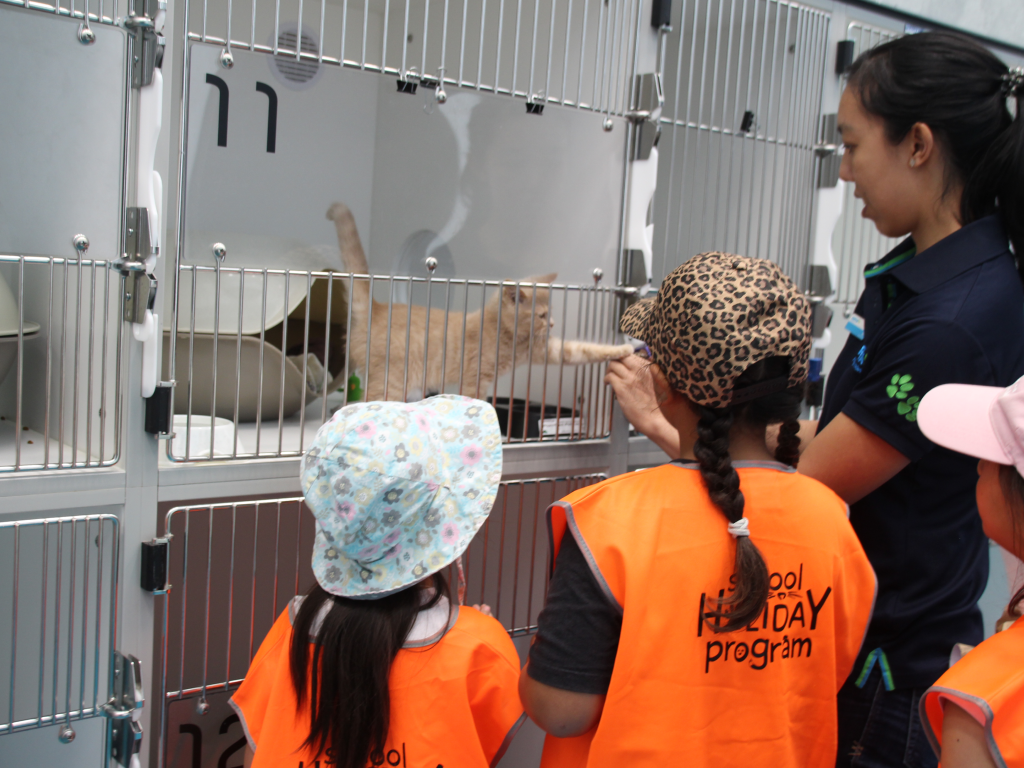 rspca nsw school holiday program