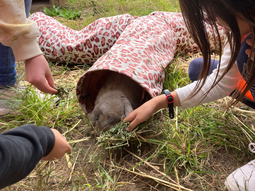 rspca nsw school holiday program