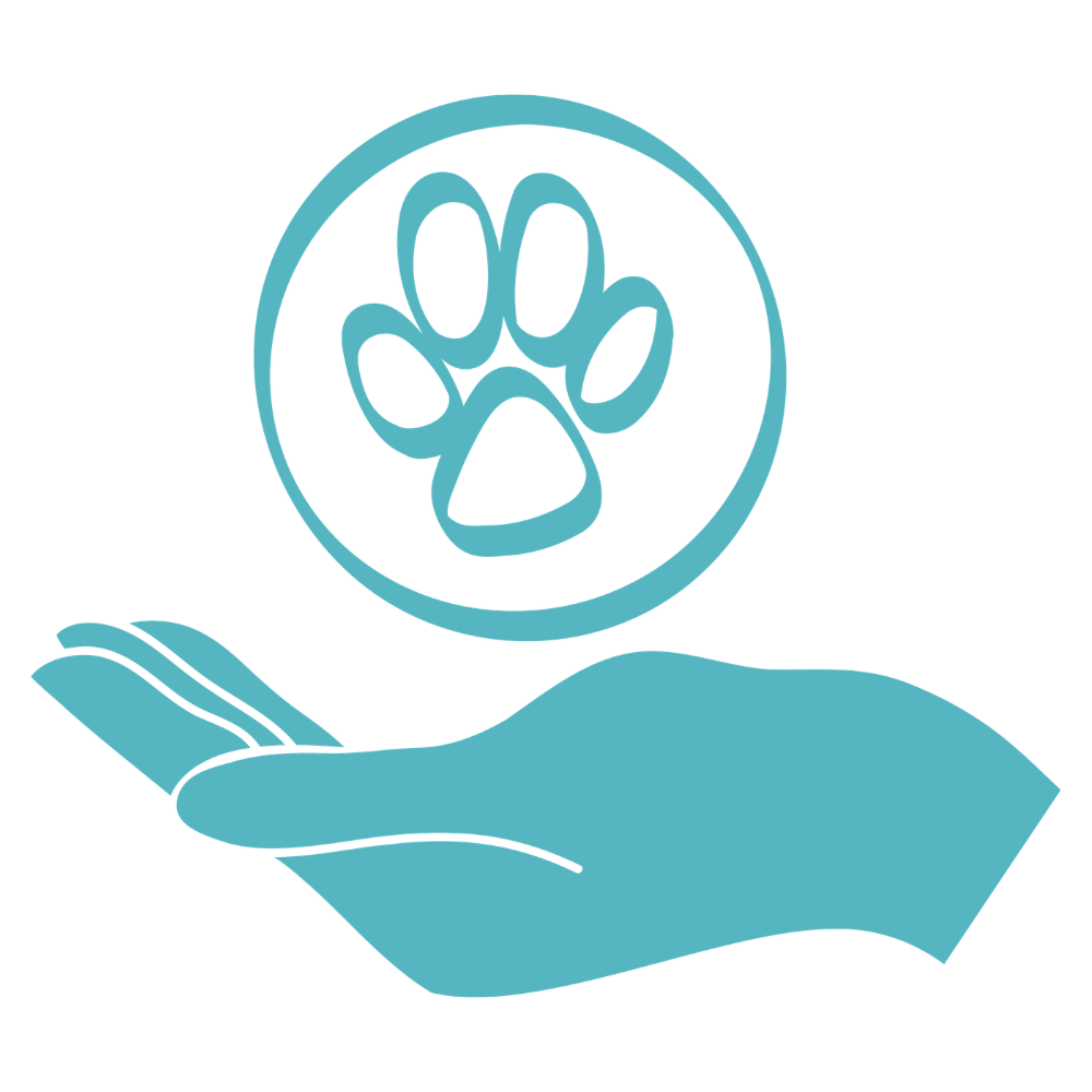 RSPCA NSW Pets are Family_7