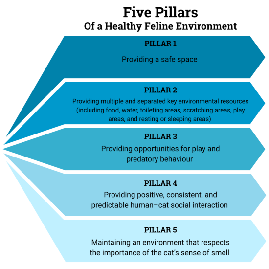 Give Pillars of a healthy feline environment