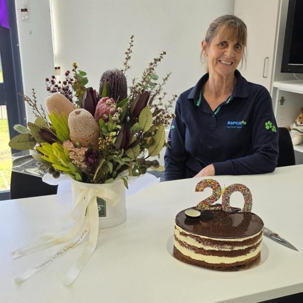 Eve celebrating 20 years