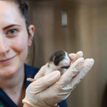 Nurse_Neonate_466470-0173